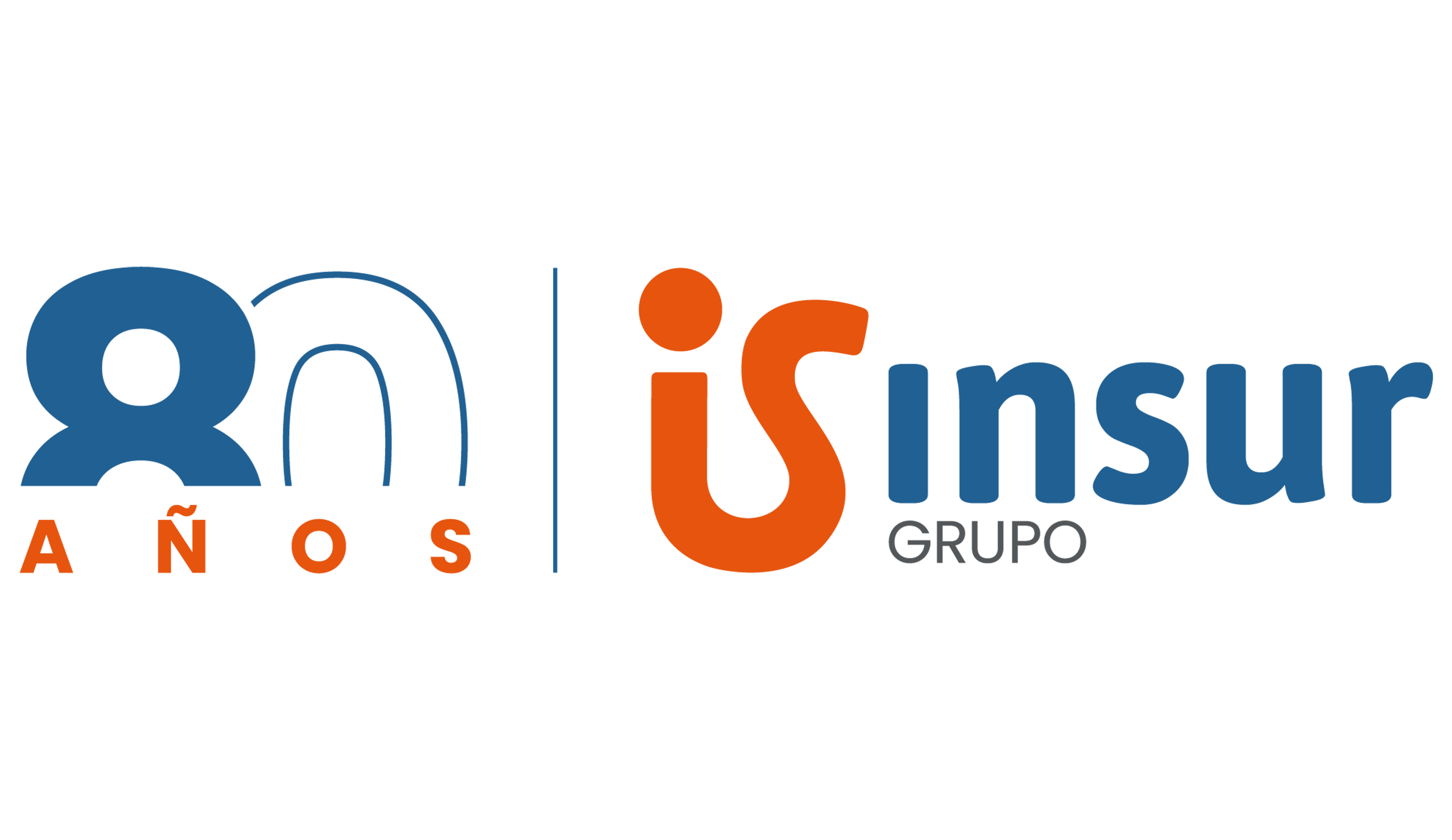 Grupo Insur